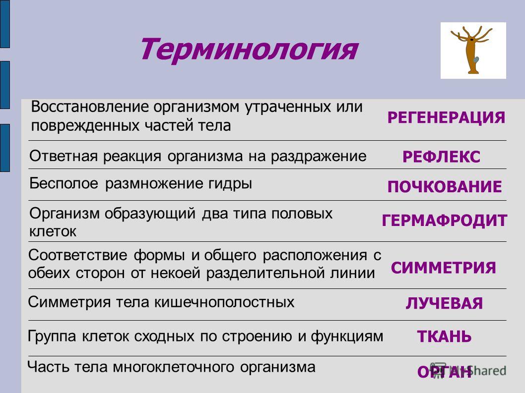 Кракен маркет даркнет слушать